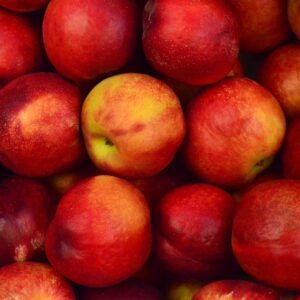 Apple 5-Gallon Hotpack (Fermentation Only)