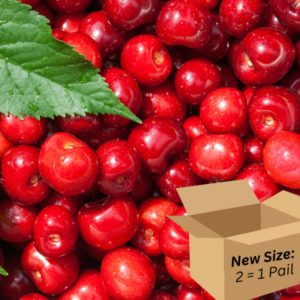 Cherry 2.6-Gallon BiB HP