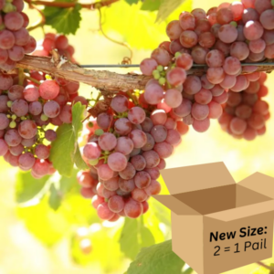 Gewurztraminer 2.6-Gallon BiB HP