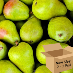 Pear 2.6-Gallon BiB HP