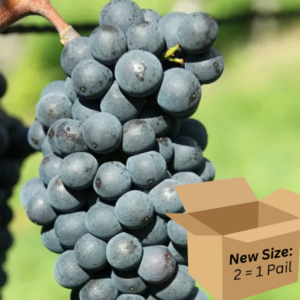 Pinot Noir 2.6-Gallon BiB HP