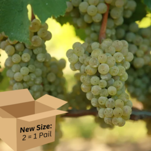 Riesling 2.6-Gallon BiB HP
