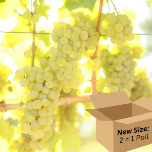 Sauvignon Blanc 2.6-Gallon HP