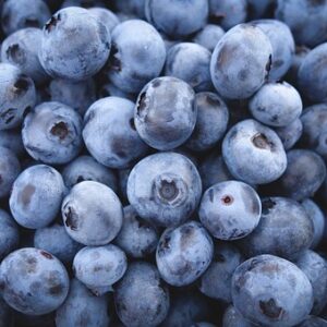 Blueberry 2.6-Gallon BiB HP