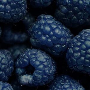 Blackberry (Marion) 2.6-Gallon BiB HP