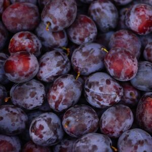 Plum 5-Gallon Hotpack