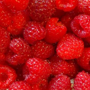 Red Raspberry 2.6-Gallon BIB HP