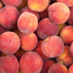 Peach 2.6-Gallon BiB HP