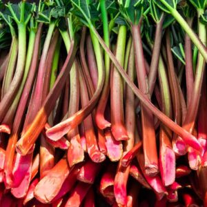 Rhubarb 2.6-Gallon BiB HP